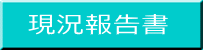 現況報告書