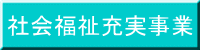 社会福祉充実事業 